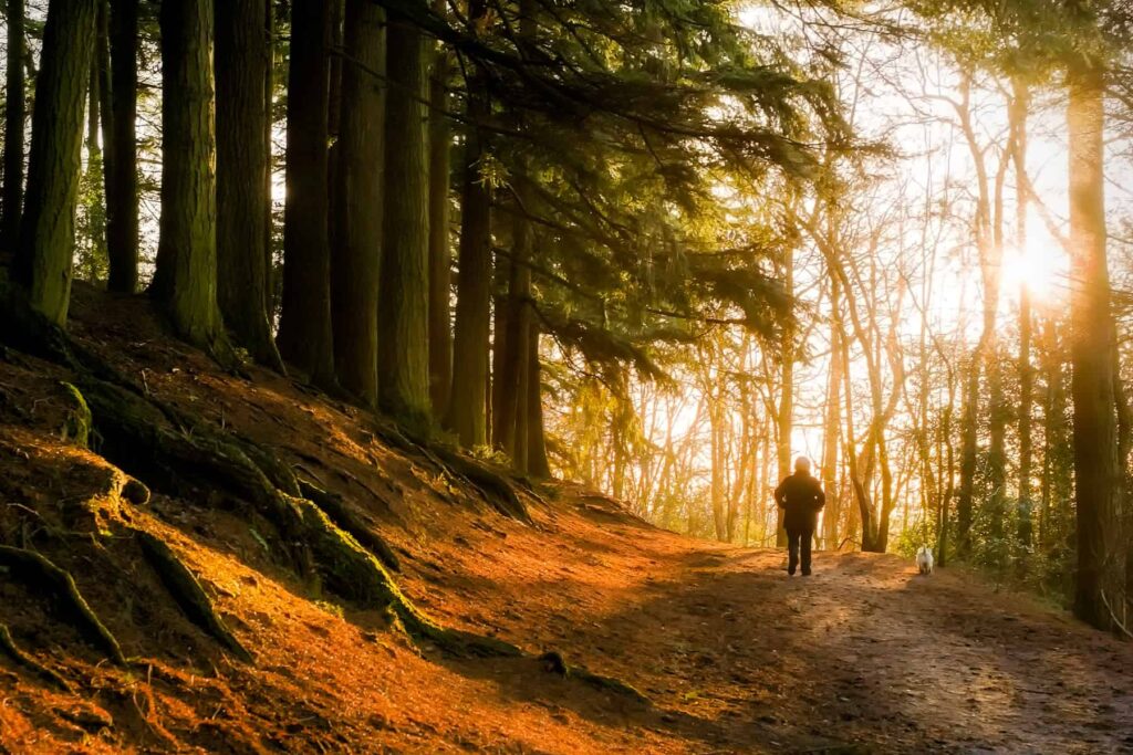 The Benefits of Spending Time in Nature for Mental Health